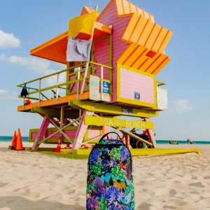 B6395_1_1