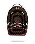 BAG WITHIN A BAG WITHIN A BAG BACKPACK