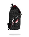 SHINOBI SHARKS IN PARIS MONTE CARLO