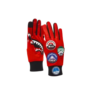 THE GLOBAL EXPEDITION GLOVES
