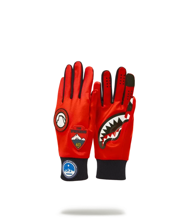 THE GLOBAL EXPEDITION GLOVES