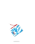 SKYBORNE WALLET