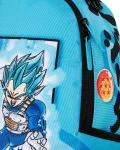 DRAGON BALL Z SUPER SAIYAN BLUE GOKU AND VEGETA