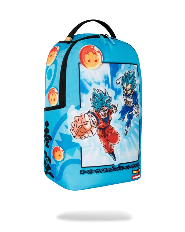 DRAGON BALL Z SUPER SAIYAN BLUE GOKU AND VEGETA