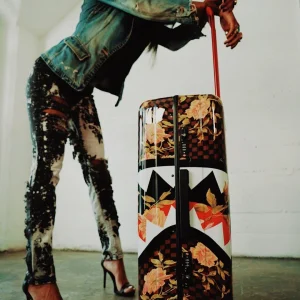 luggage2